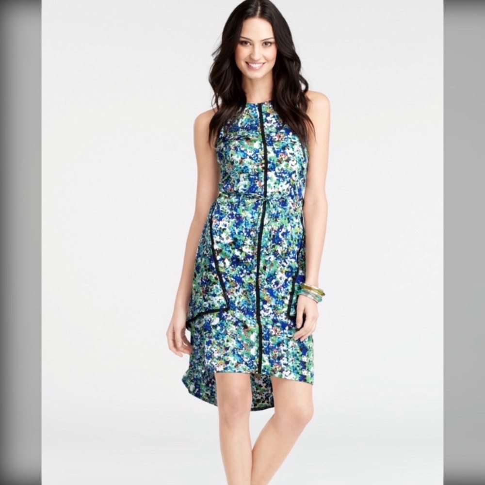 Ann Taylor Garden Floral Dress